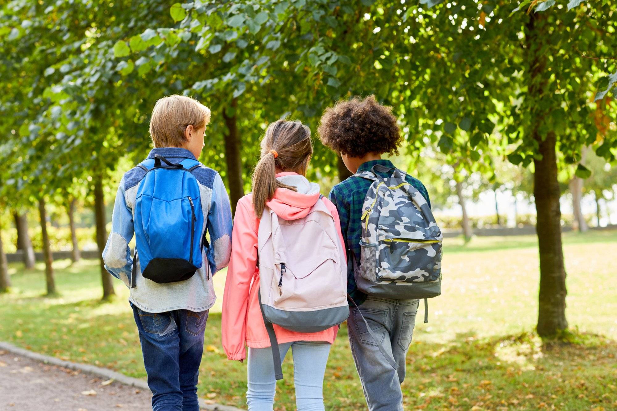 Children going to school